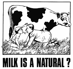 Image result for milk is for baby cows